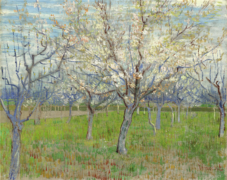 Orchard With Blossoming Apricot Trees Van Gogh Oil Painting